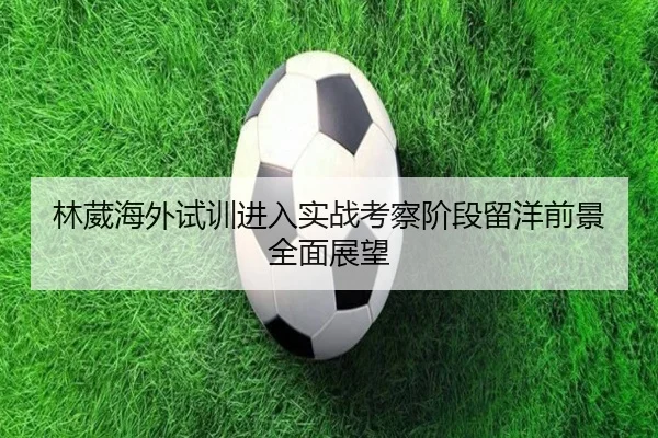 林葳海外试训进入实战考察阶段留洋前景全面展望