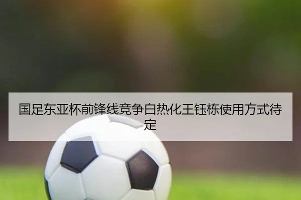 国足东亚杯前锋线竞争白热化王钰栋使用方式待定